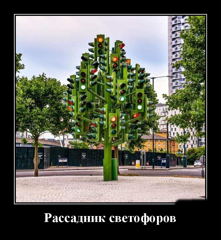 Podborka luchshikh demotivatorov 498 055